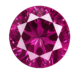 Rose #3