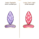 CZ Color Change Lavender to Rose